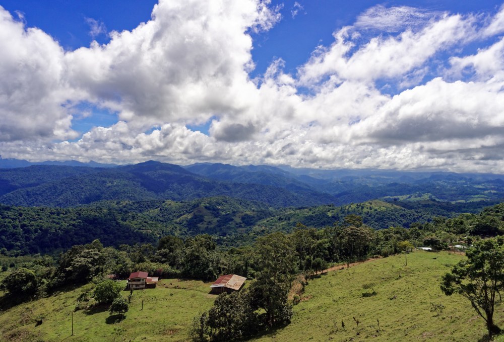 Tapantí - La Suiza de Turrialba entlang von Kaffee- und Zuckerrohrplantagen 